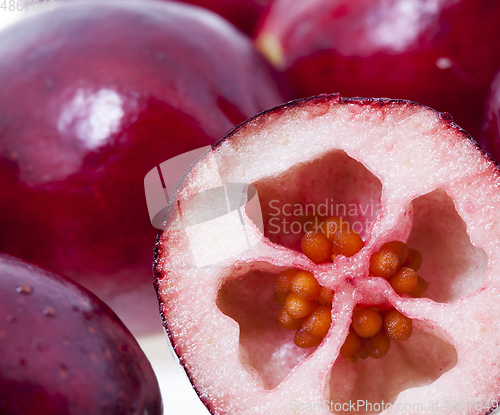 Image of red sour cranberries