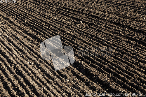 Image of plowed soil