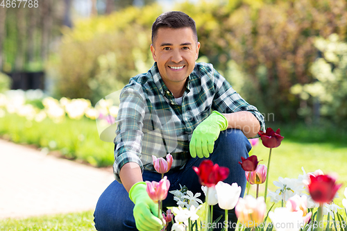 Image of middle-aged man taking care of flowers at garden