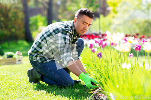Image of man taking care of flowers at garden