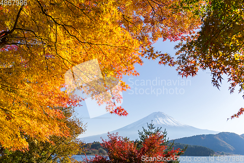 Image of Mt. Fuji in autumn season