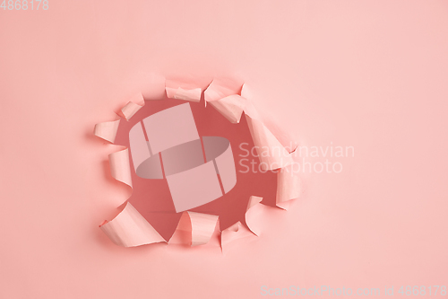 Image of Torn coral, pink paper hole background, copyspace for ad