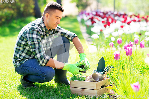 Image of middle-aged man with tools in box at summer garden