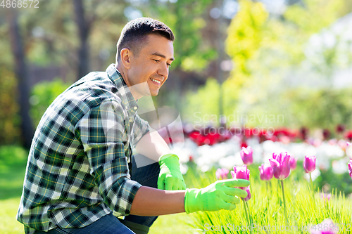 Image of happy man taking care of flowers at garden