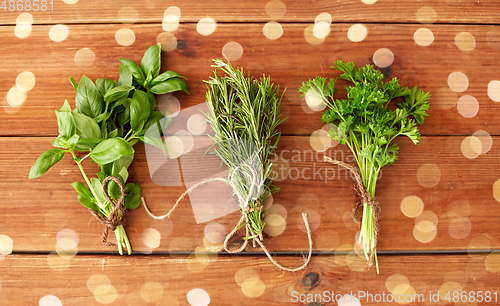 Image of greens, spices or medicinal herbs on wooden boards