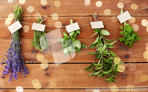Image of greens, spices or medicinal herbs on wood