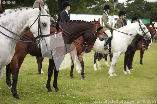 Image of county show dressage 