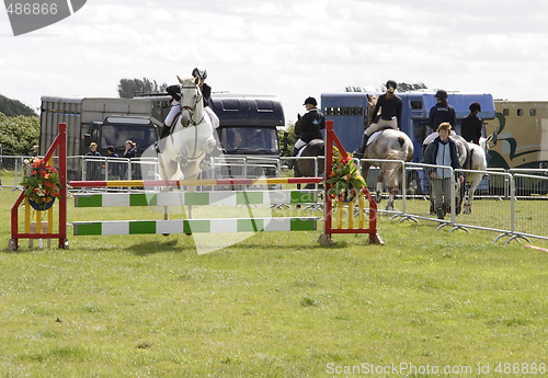 Image of show jumping