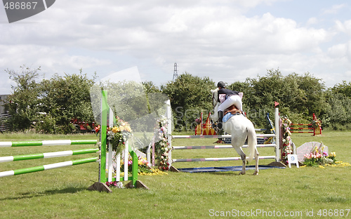 Image of show jumping