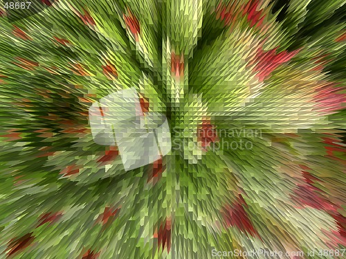 Image of Pointy flower