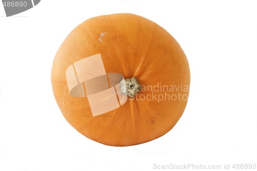 Image of large pumpkin isolated