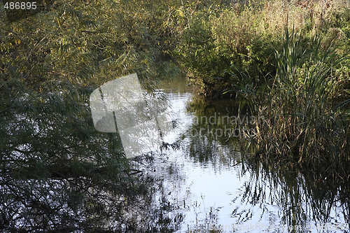 Image of river scene