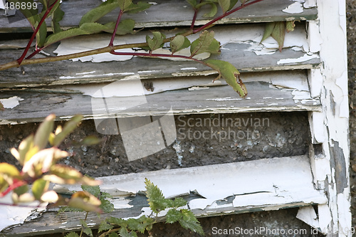 Image of decayed shutters