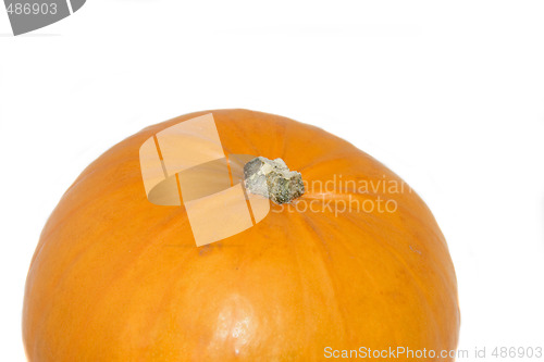 Image of large pumpkin isolated