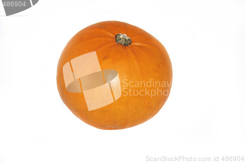 Image of large pumpkin isolated