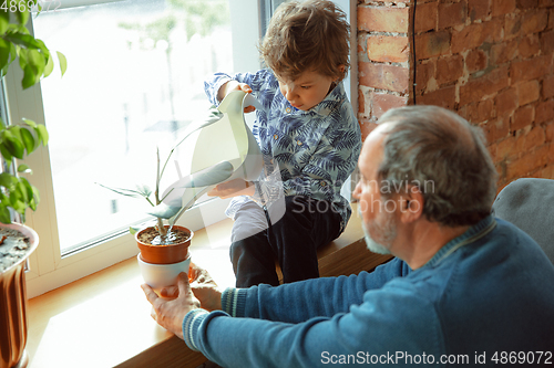 Image of Grandfather and his grandson spending time insulated at home, having fun, caring for plants, watering