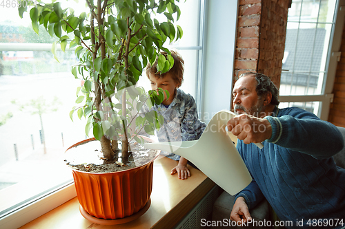 Image of Grandfather and his grandson spending time insulated at home, having fun, caring for plants, watering