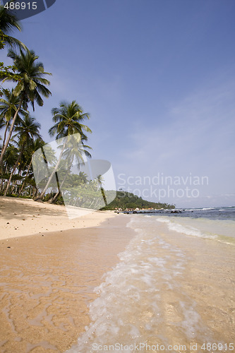 Image of summer paradise landscape