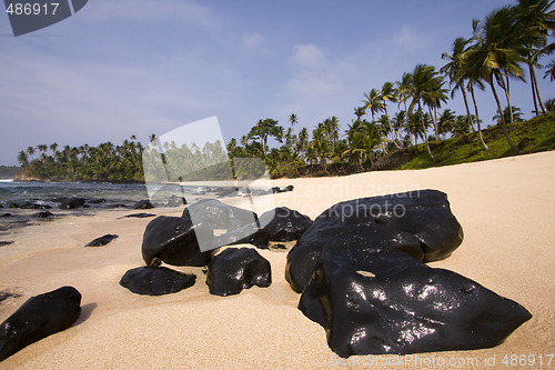 Image of summer paradise landscape