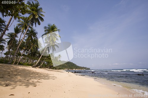 Image of beach at the paradise