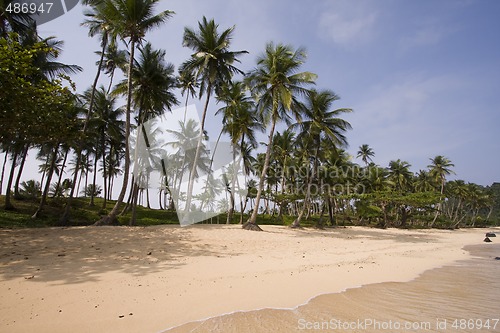 Image of beach at the paradise