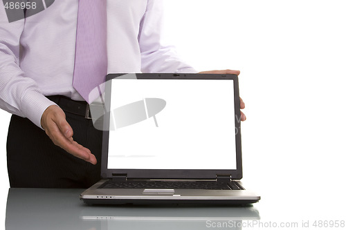 Image of Businessman showing data