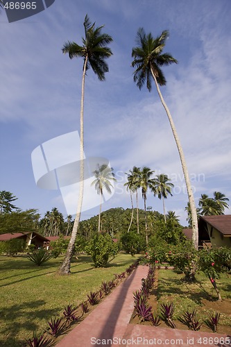 Image of The path in the resort