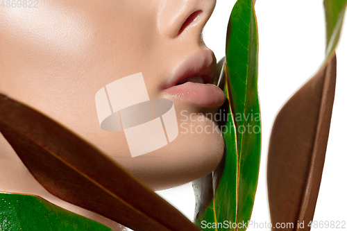 Image of Lips. Close up of beautiful young woman with green leaves on her face over white background. Cosmetics and makeup, natural and eco treatment, skin care