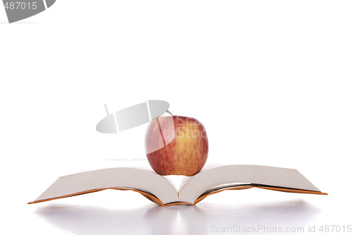 Image of Apple in the book