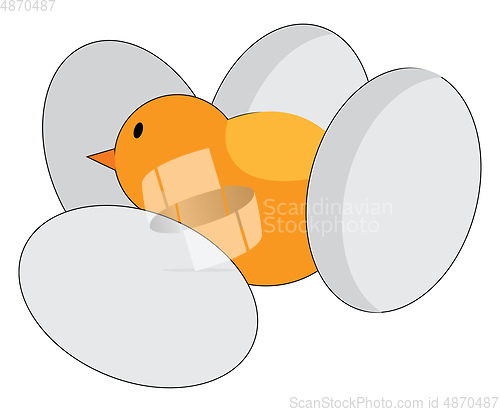 Image of A little chick amidst four eggs without cracks vector or color i