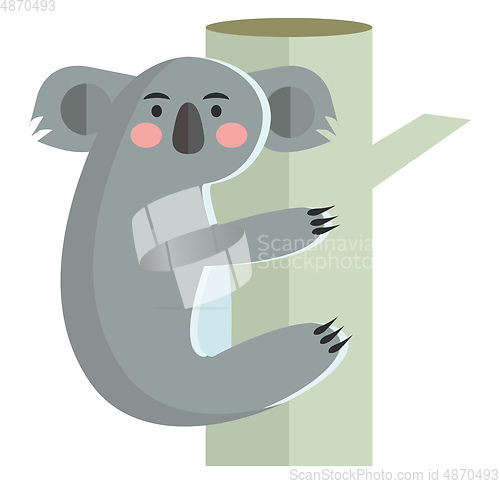 Image of Koala is climbing tree vector or color illustration