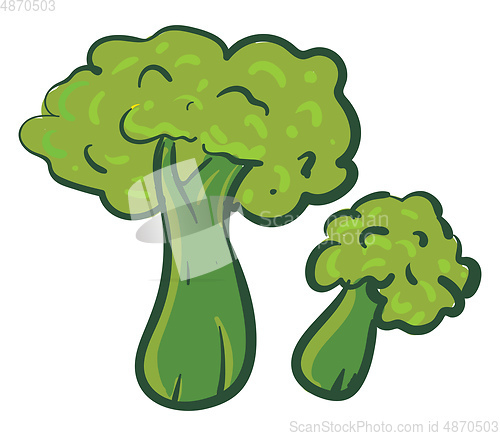 Image of Simple broccoli vector illustration on white background.