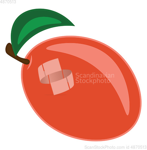 Image of A mango vector or color illustration
