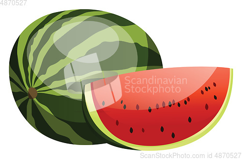 Image of Vector illustration of green watermelon red slice with black see