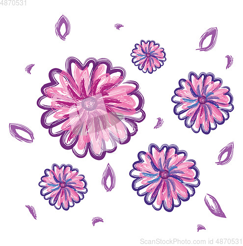Image of Calendula vector or color illustration