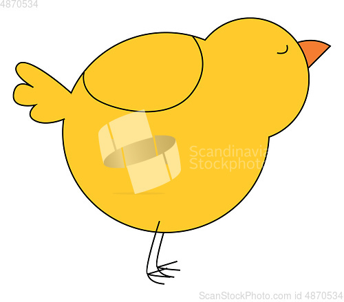 Image of Yellow chick vector or color illustration