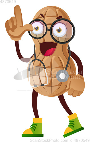 Image of Peanut with stethoscope, illustration, vector on white backgroun