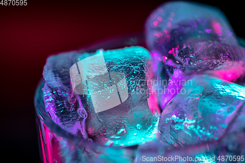 Image of Close up of ice cubes in glass of alcoholic cocktail, beverage, drink in multicolored neon light