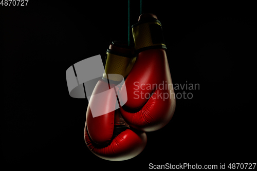 Image of Professional sport equipment isolated on black studio background. Boxers red gloves.