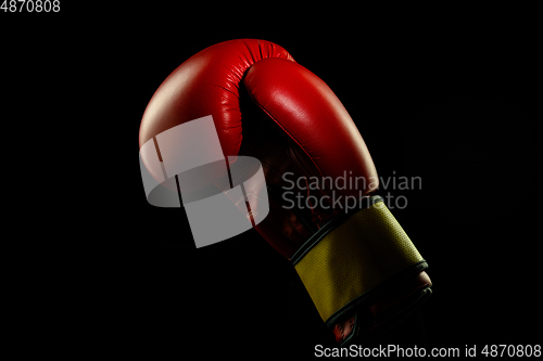 Image of Professional sport equipment isolated on black studio background. Boxers red glove.