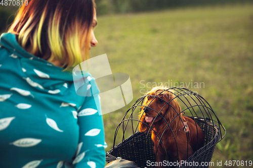 Image of Young woman having fun near countryside park, riding bike, traveling with companion spaniel dog