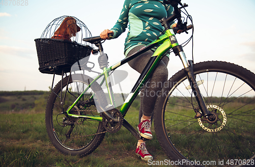 Image of Young woman having fun near countryside park, riding bike, traveling with companion spaniel dog