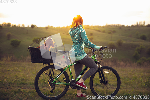 Image of Young woman having fun near countryside park, riding bike, traveling with companion spaniel dog