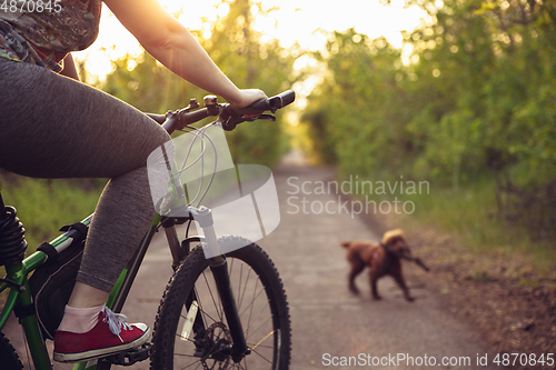 Image of Young woman having fun near countryside park, riding bike, traveling with companion spaniel dog