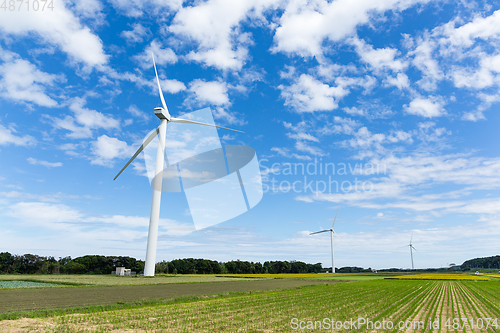 Image of Green meadow with Wind turbines 