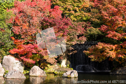 Image of Japanese Kokoen Garden