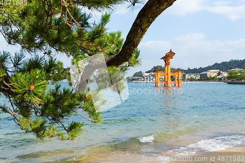 Image of Japanese Itsukushima Shrine 