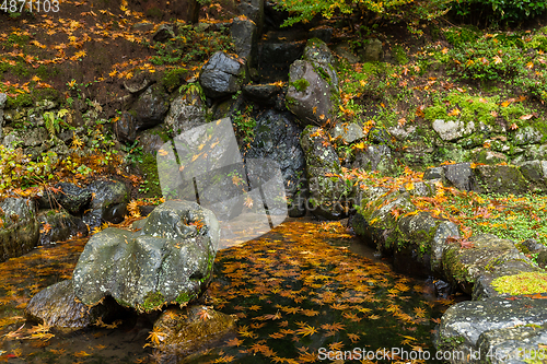 Image of Japanese temple in autumn