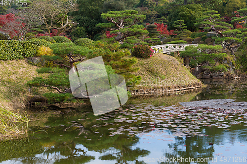 Image of Japanese garden