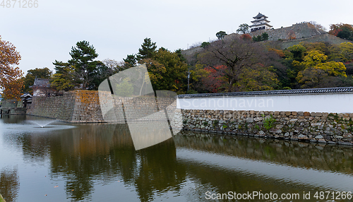 Image of Marugame Castle